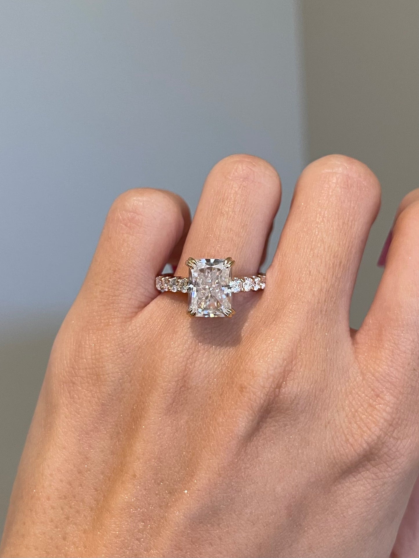 Crushed Ice Radiant Moissanite, Hidden Halo, Cathedral