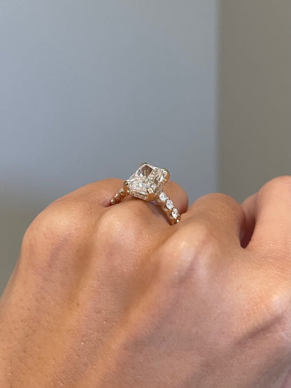 Crushed Ice Radiant Moissanite, Hidden Halo, Cathedral
