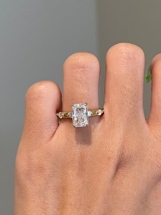 Crushed Ice Radiant Moissanite, Hidden Halo, Cathedral