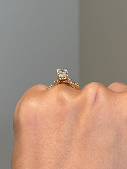 Brilliant Radiant Moissanite, Hidden Halo, Space Pavé