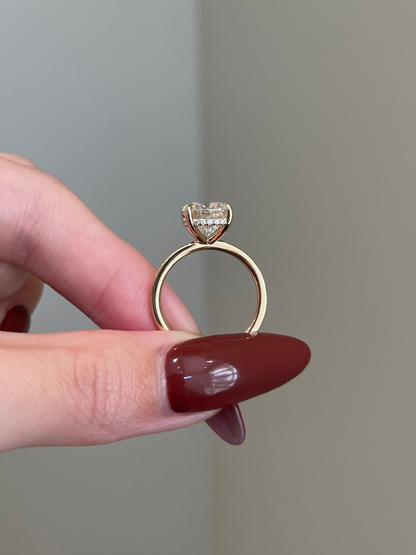 Brilliant Cushion Moissanite, Hidden Halo, Solitaire