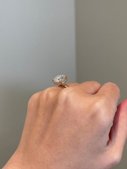 Brilliant Cushion Moissanite, Hidden Halo, Solitaire