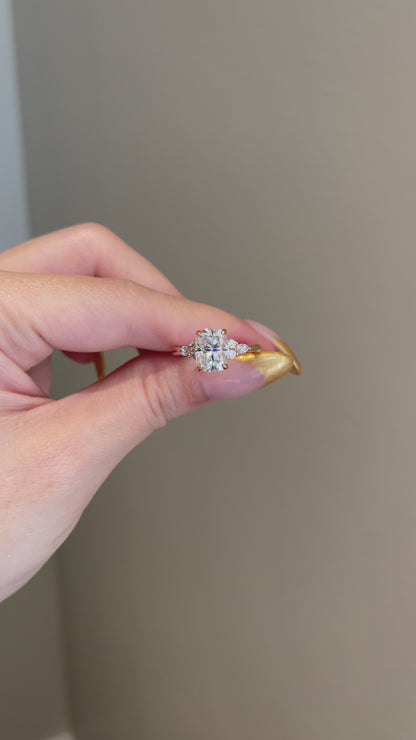 The Alexa Ring, 3 Carat, Cushion, Brilliant